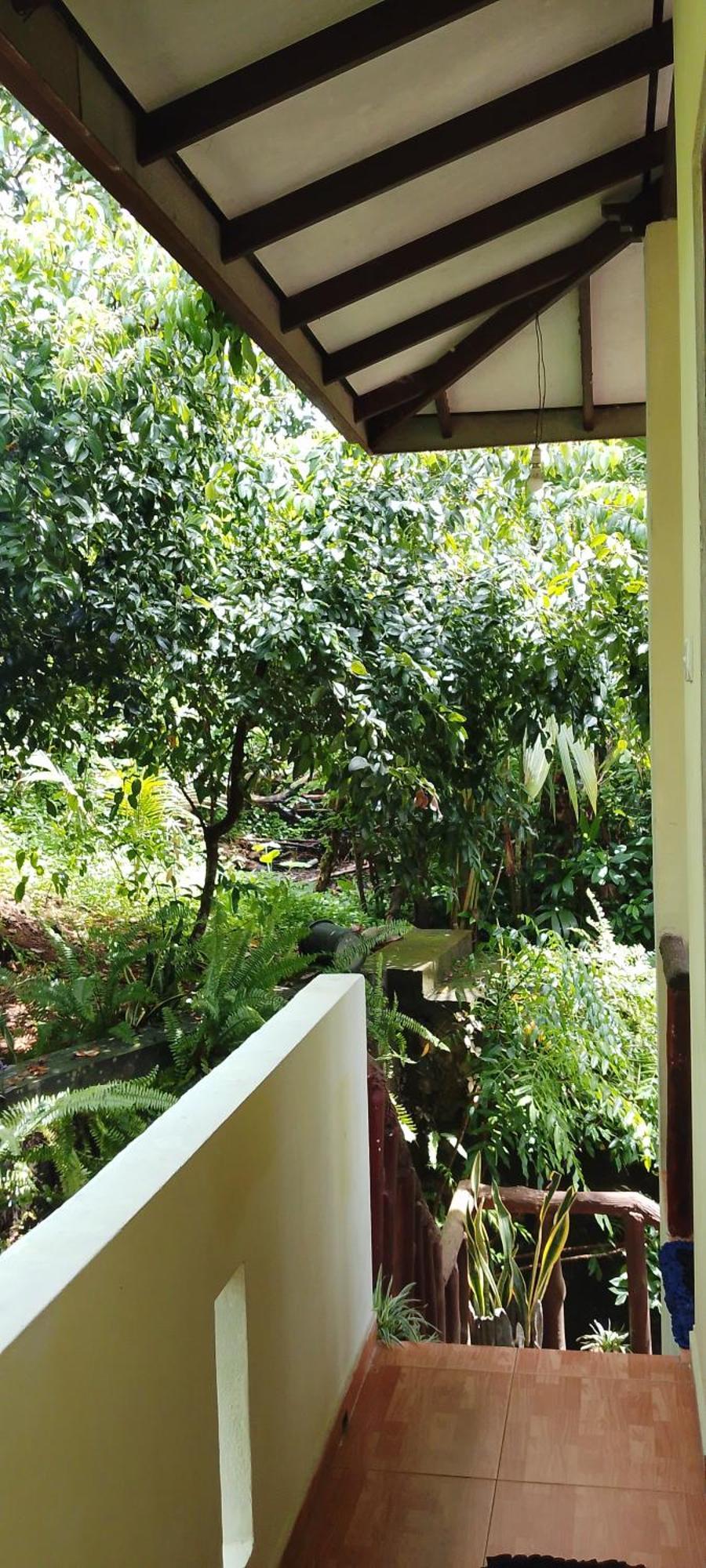 Ranga Villa 히카두와 객실 사진